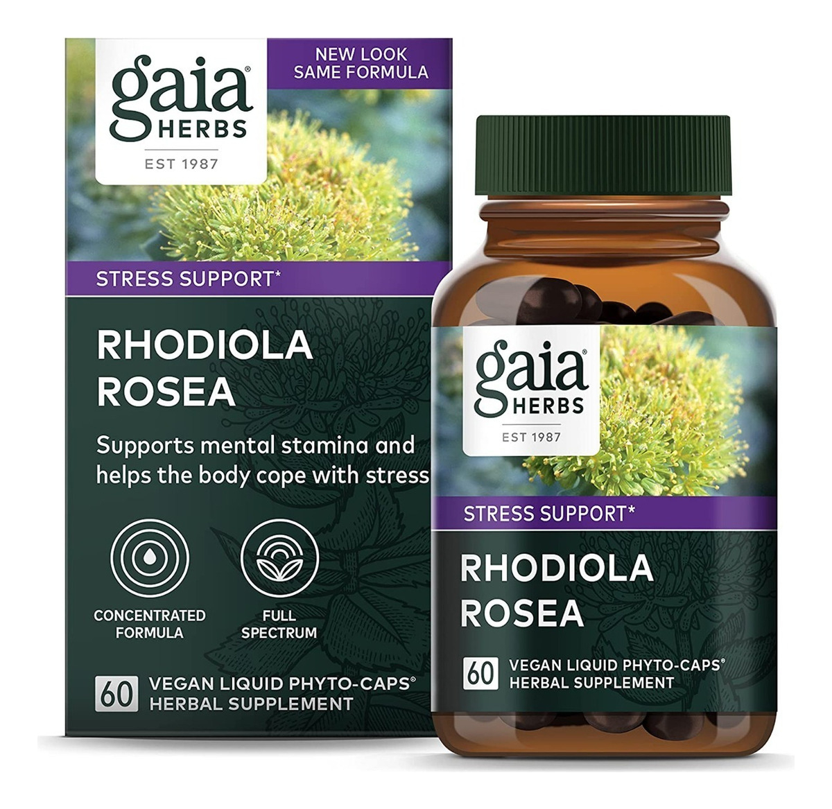 Salud y Equipamiento Médico - Gaia Herbs Rhodiola Rosea - Suplemento De Soporte Para El E