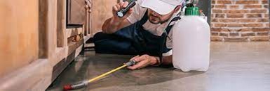 empleos disponibles - Se solicita técnico  fumigador  
 0