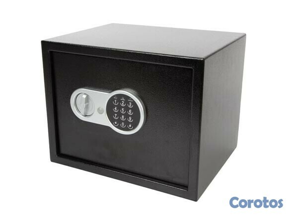 decoración y accesorios - Caja fuerte electrónica de pared GB-3 35 cms 1