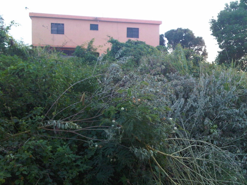solares y terrenos - VENDO SOLAR EN RESIDENCIAL MIRADOR DEL OESTE. 8