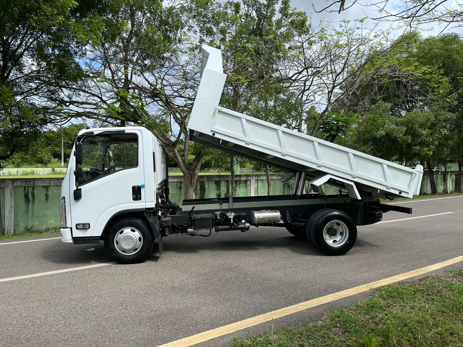 camiones y vehiculos pesados - jim ec5 volteo 2025 4