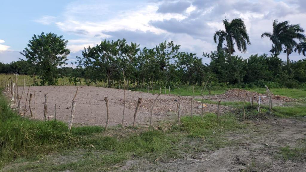 solares y terrenos - Solar de 269m2 en venta  1
