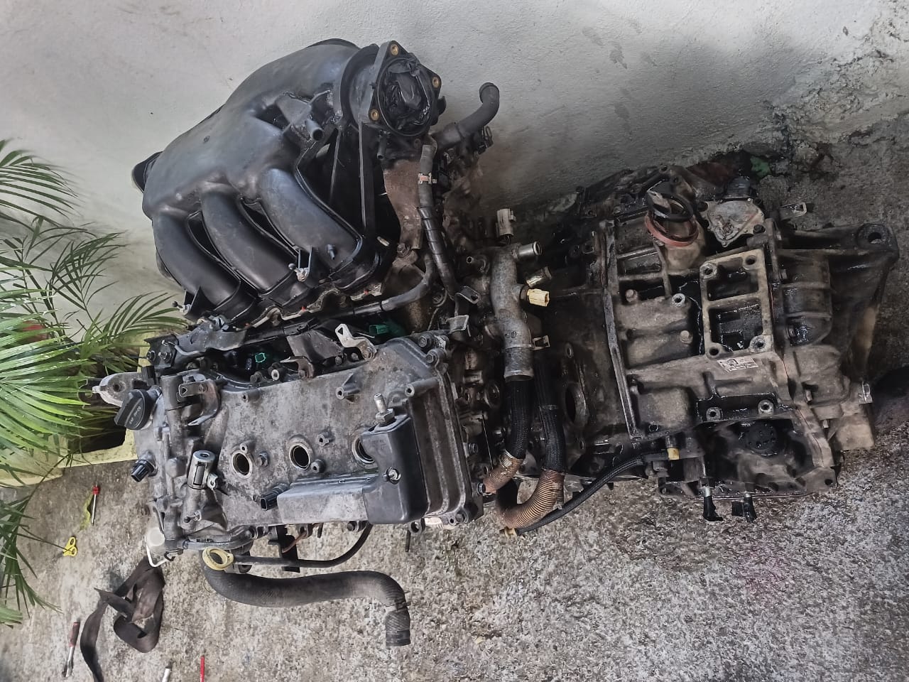 repuestos - Motor 1
