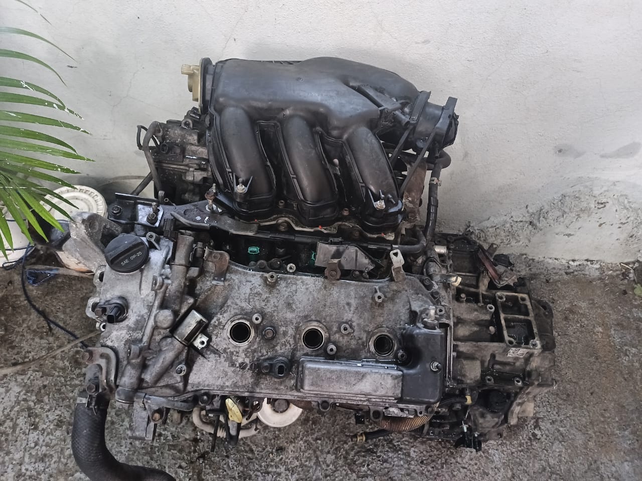 repuestos - Motor 2