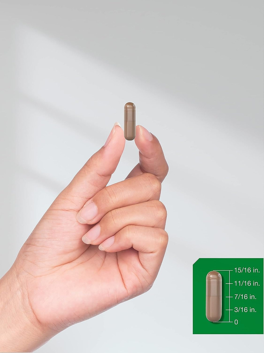 Salud y Equipamiento Médico - Extracto Hongo De  Melena 4200m 3