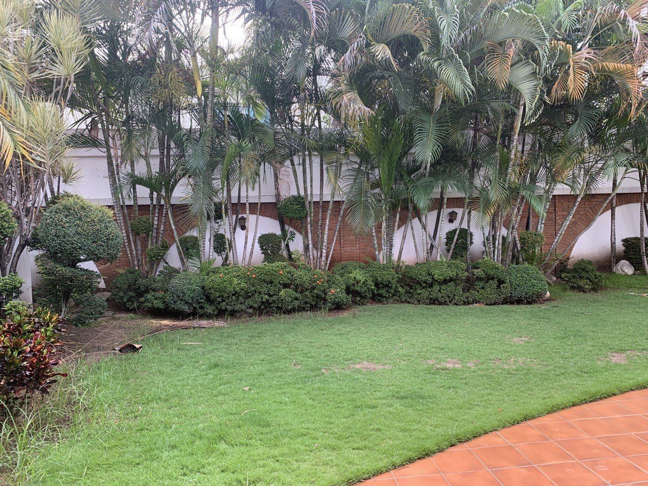 casas - Bella Vista casa vacio 4 habitaciones patio jardin 4 parqueos 5