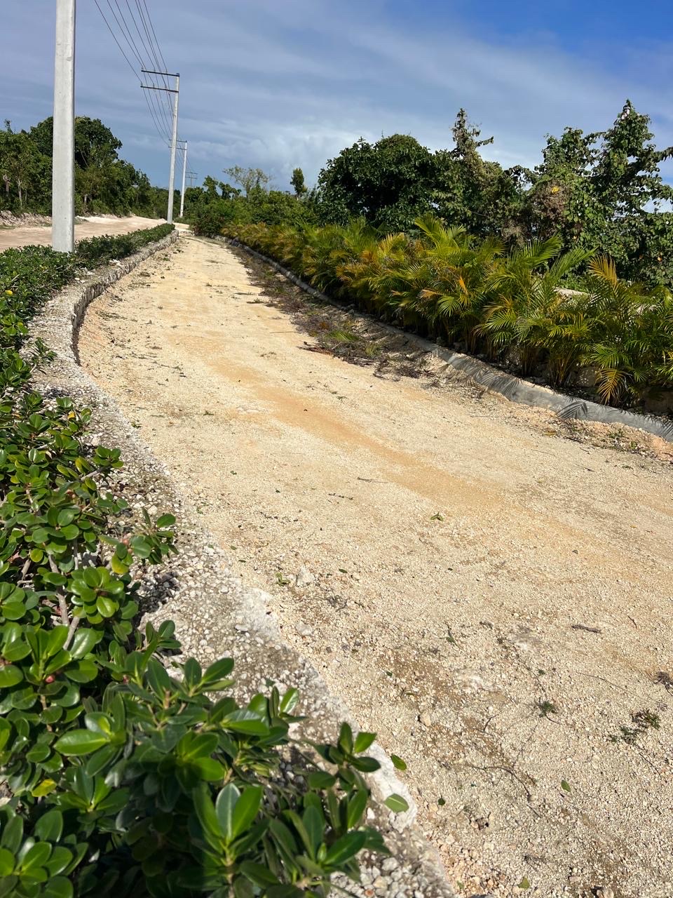 solares y terrenos - proyecto atlantico Bavaro punta cana  3