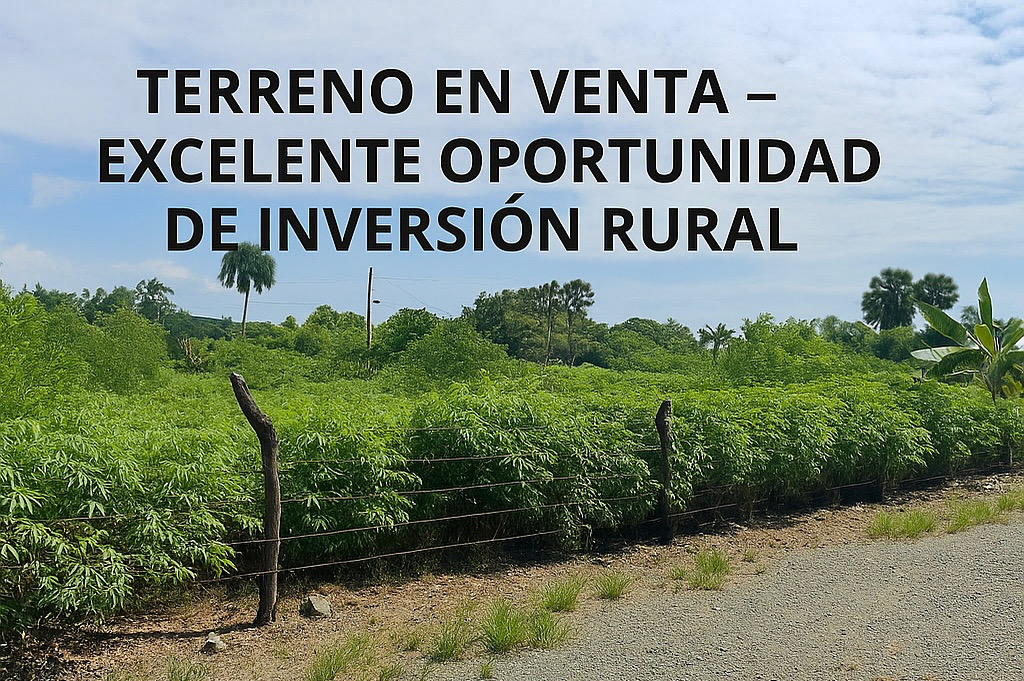 solares y terrenos - Invierte en tu solar  0