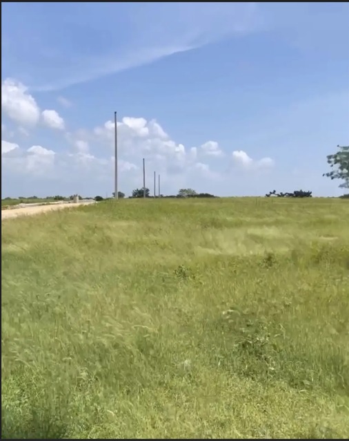 solares y terrenos - Venta de Solar ubicado en Boca Chica 2