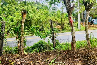 otros inmuebles - Vendo Finca en Monte Plata  3