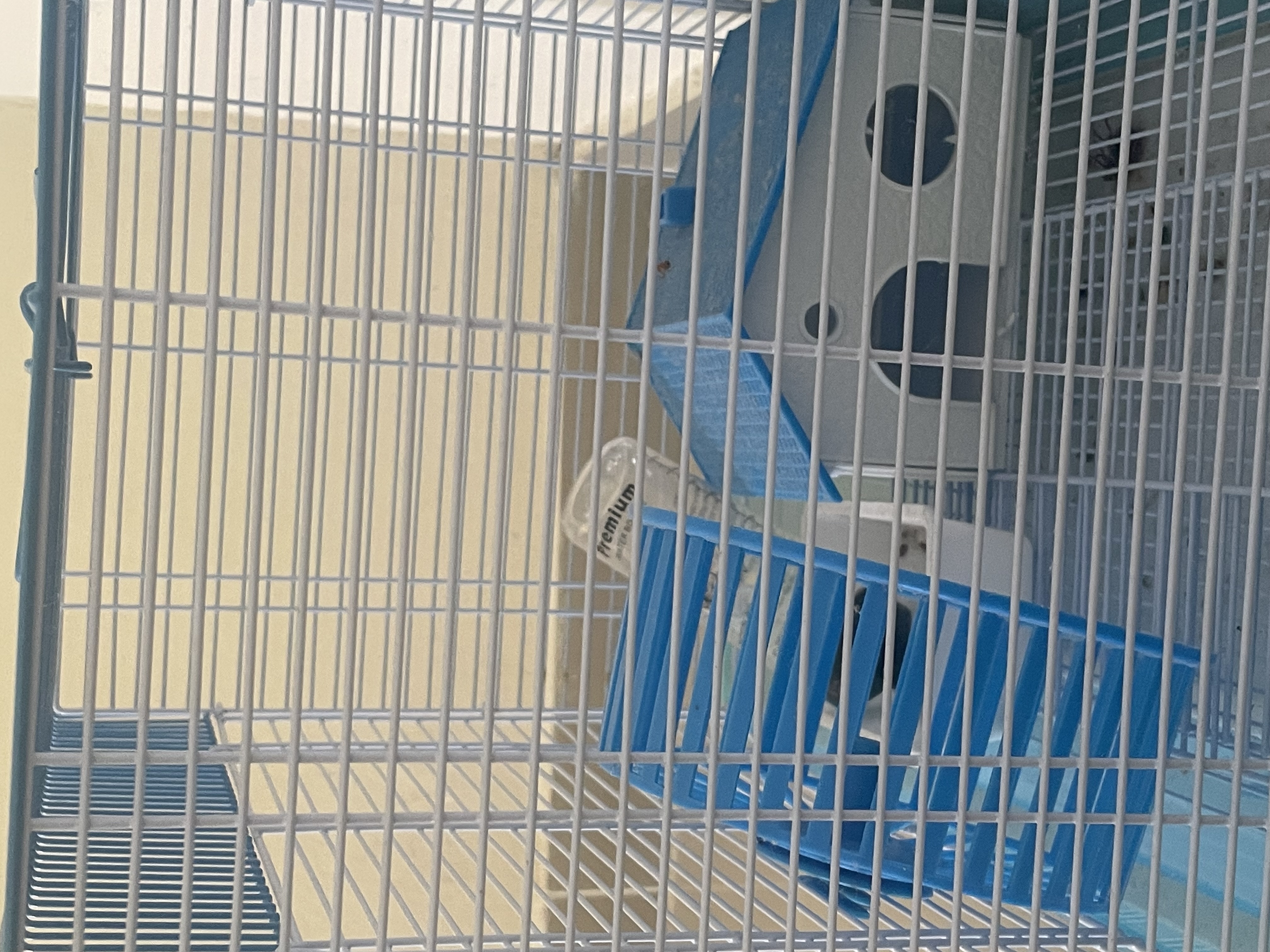 animales y mascotas - Jaula para Hamster erizo y animales pequeños  1