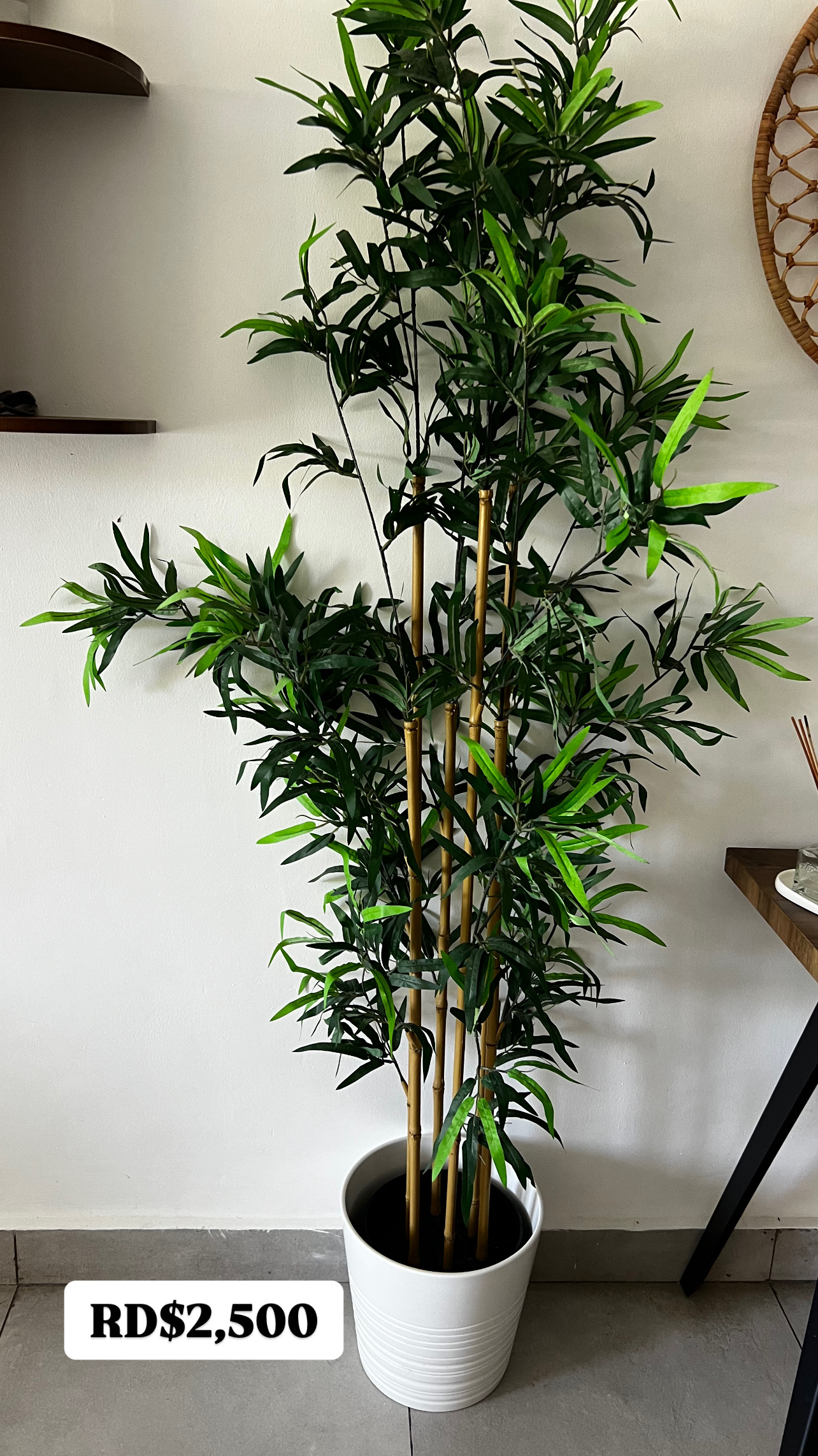 decoración y accesorios - Lámparas y más artículos para el hogar  5