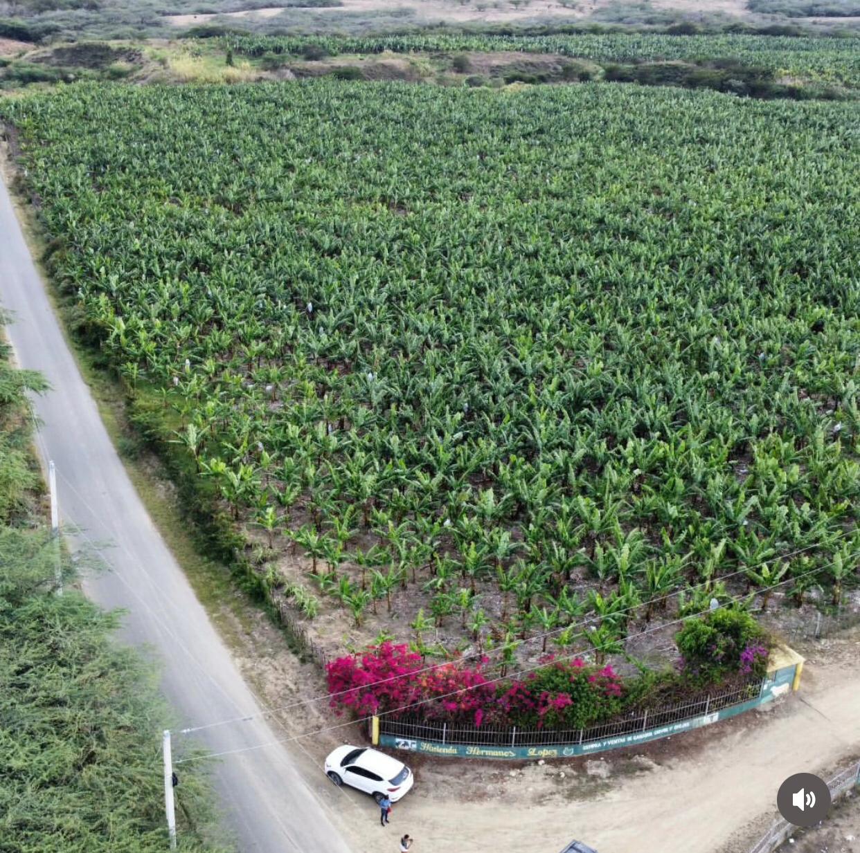 solares y terrenos - Terreno 4,000 Tareas en Amina, Mao 2