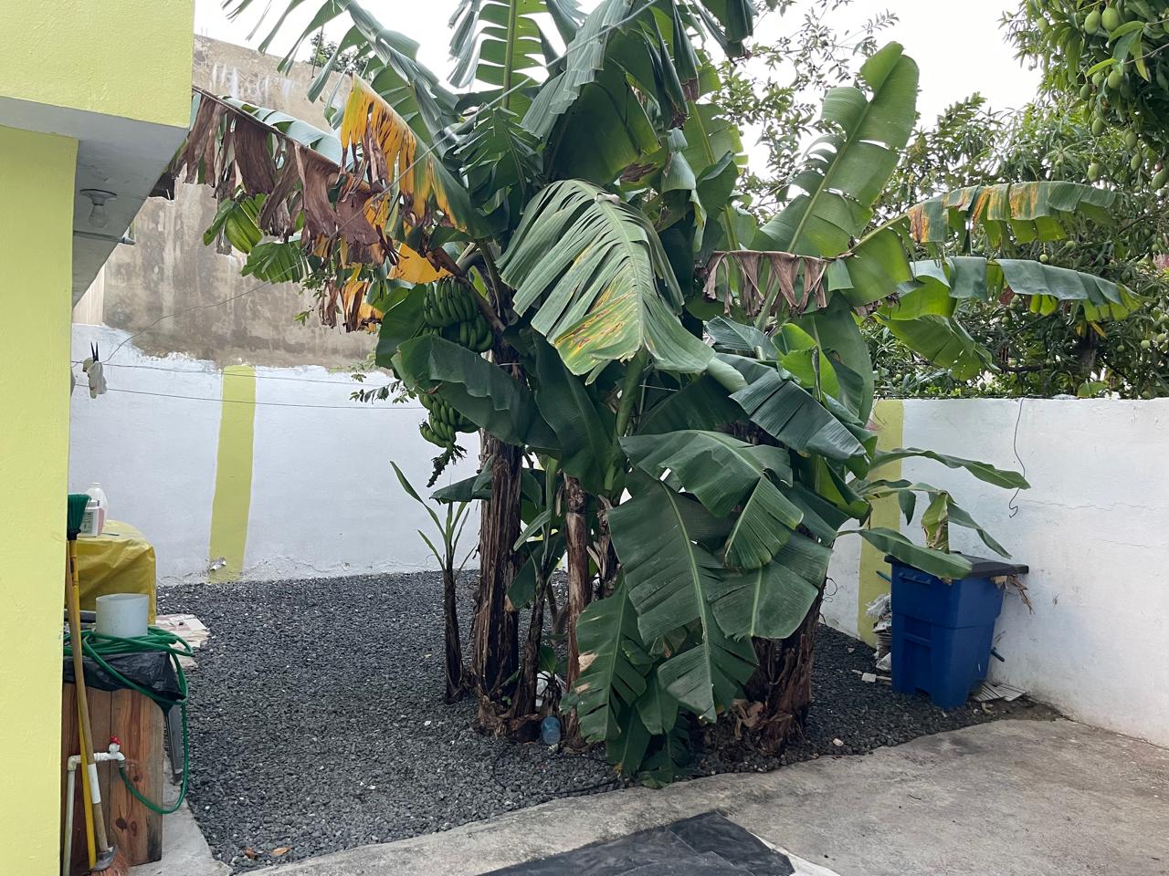 casas - casa en venta en los guaricanos  2