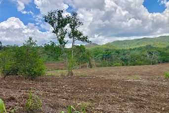 otros inmuebles - Vendo Finca en Monte Plata  4