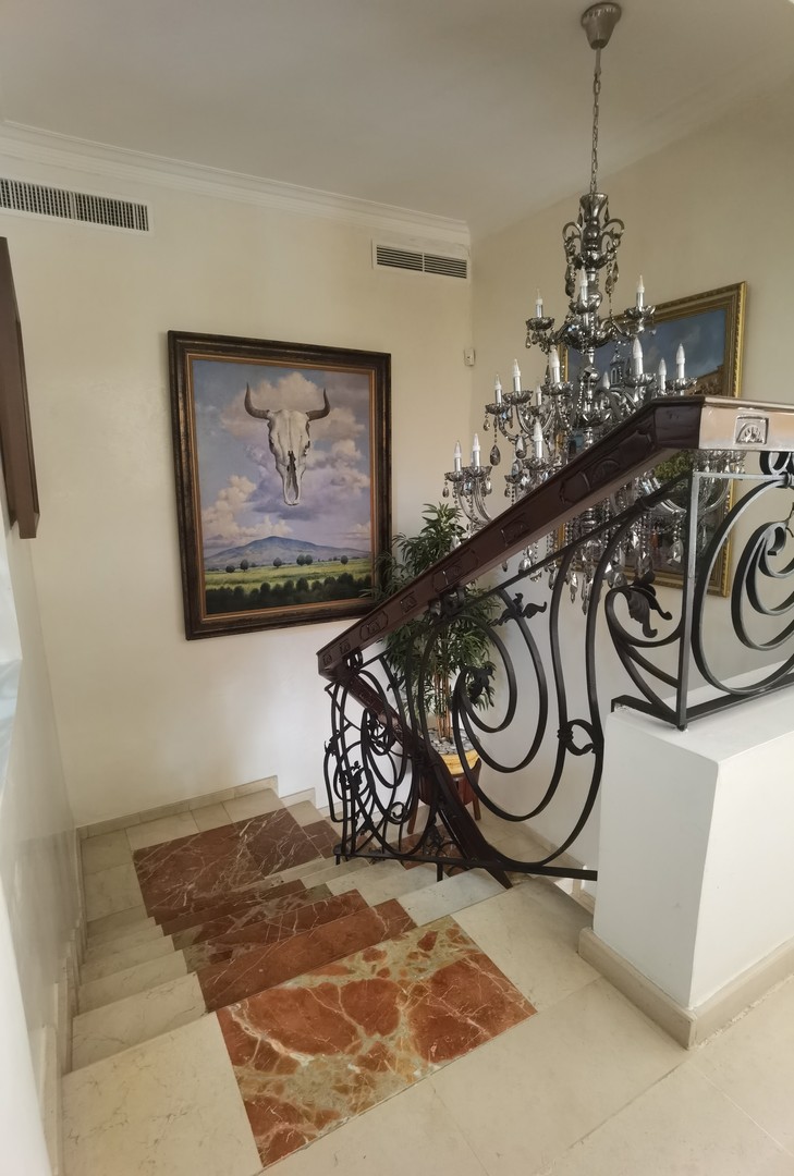 penthouses - Penthouse bella vista 490mt2  1