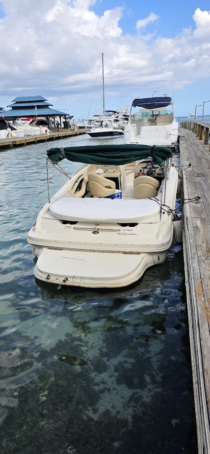 botes - Sea Ray 230 Signature 1