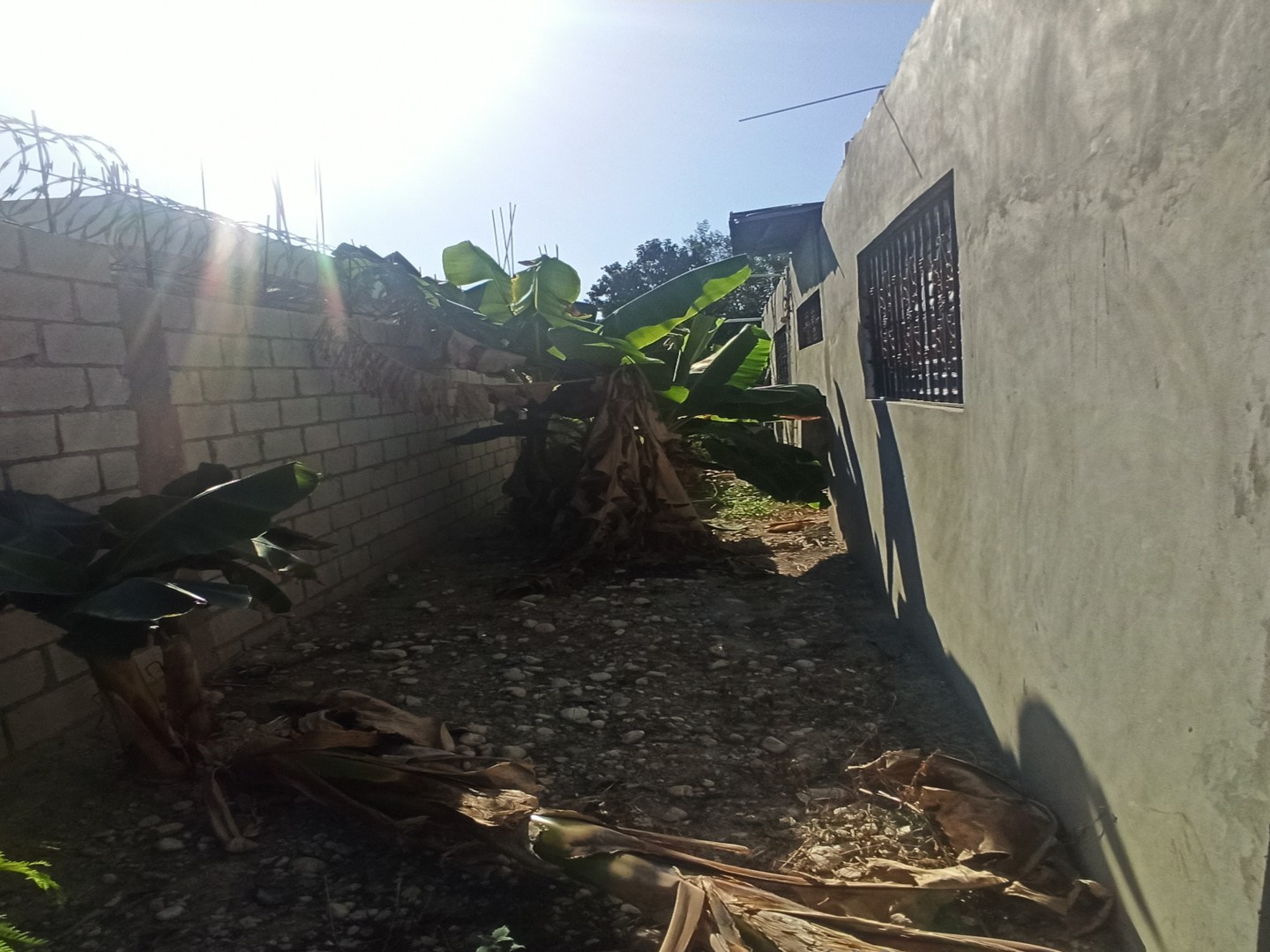 casas - Casa en provincia Bahoruco en los girasoles de Neyba  9
