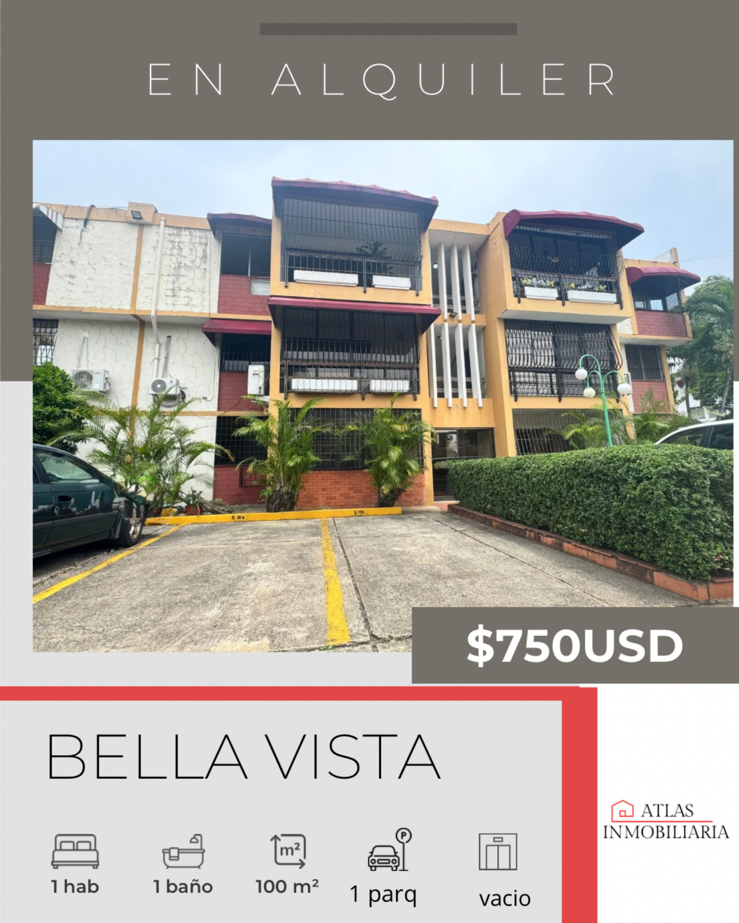 apartamentos - APARTAMENTO EN ALQUILER  0