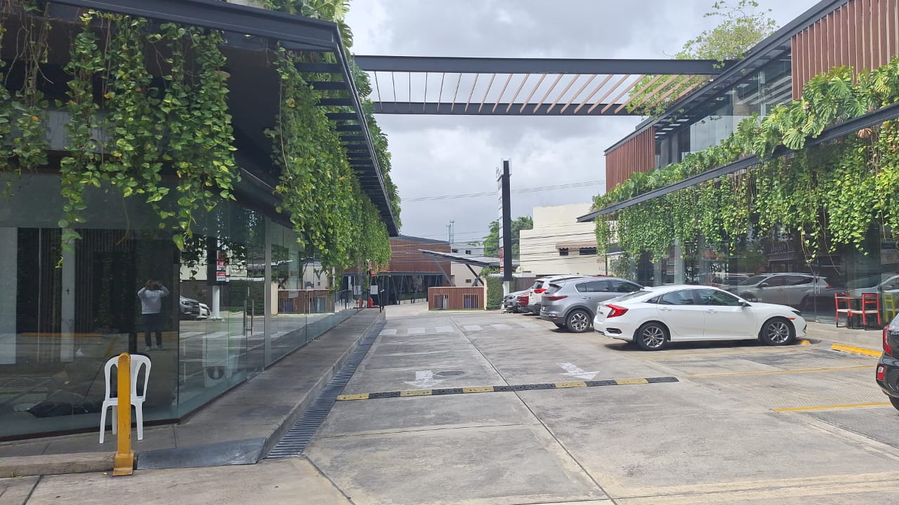 oficinas y locales comerciales - Local en Arroyo Hondo Viejo primer nivel 1