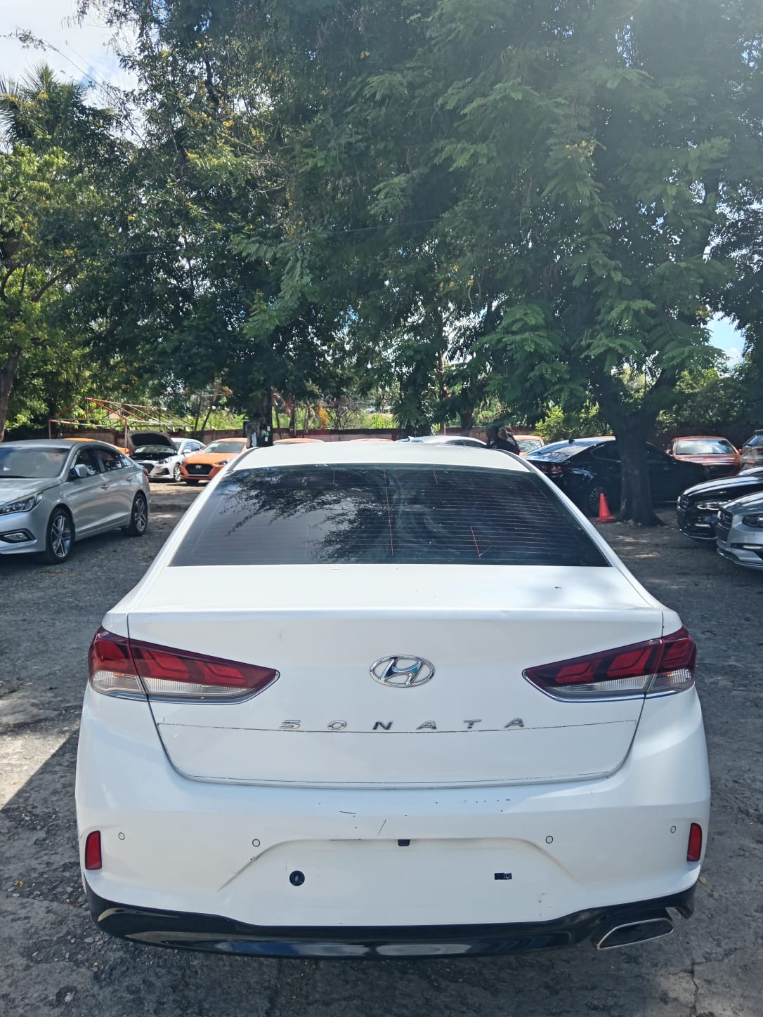 carros - HYUNDAI SONATA NEW RISE 2019 BLANCO 4