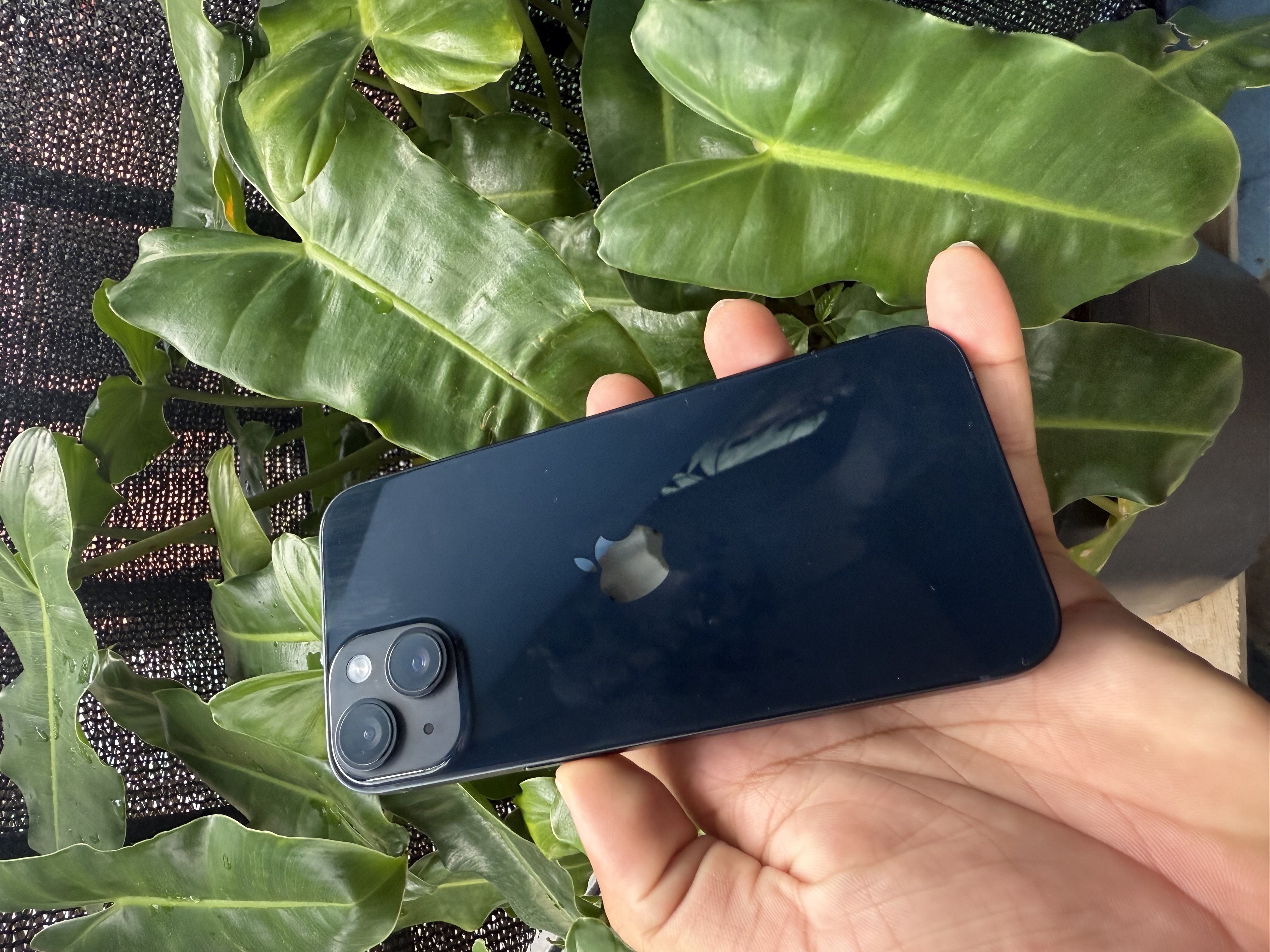 celulares y tabletas - iPhone 14 normal  1