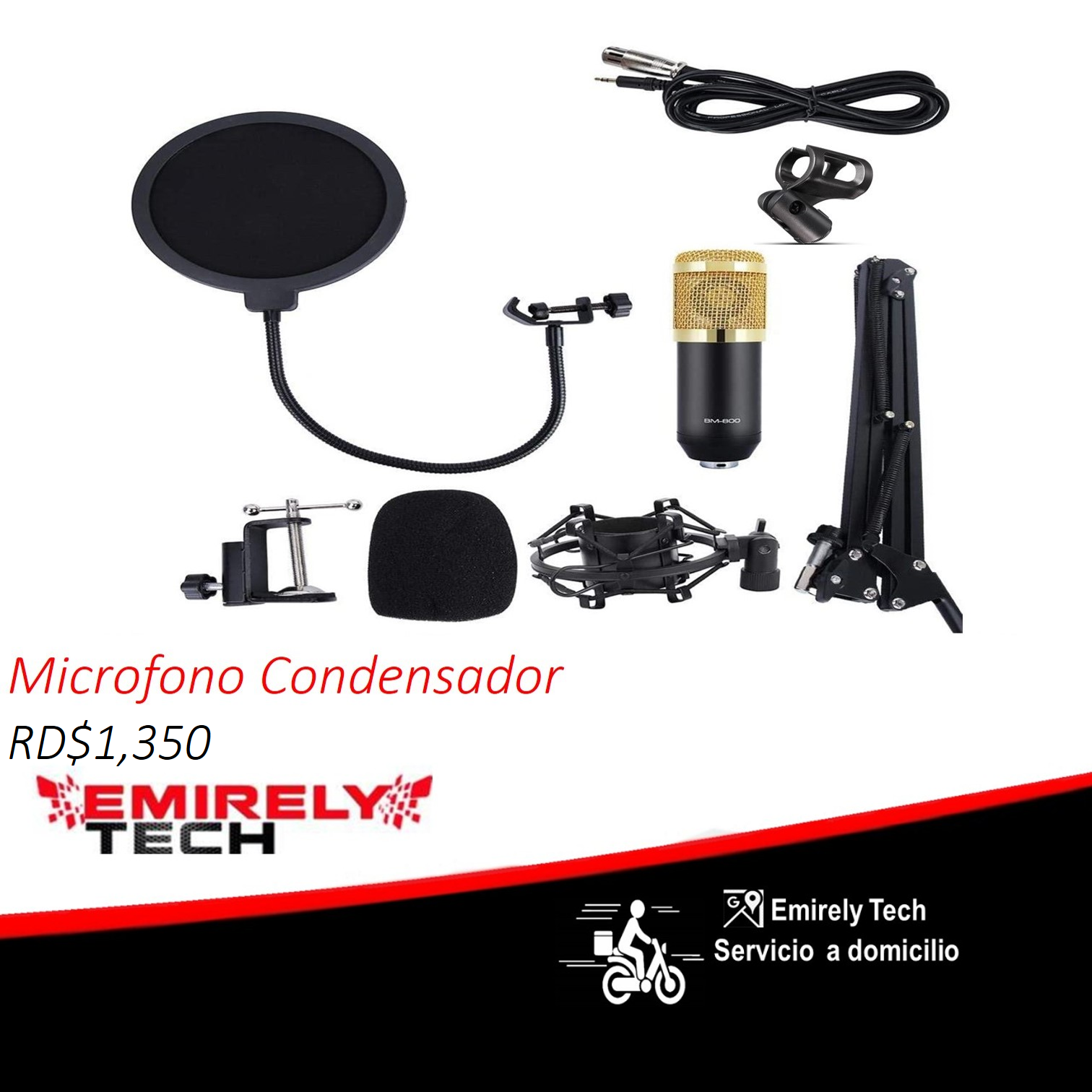 equipos profesionales - Micrófono Condensador Profesional de estudio