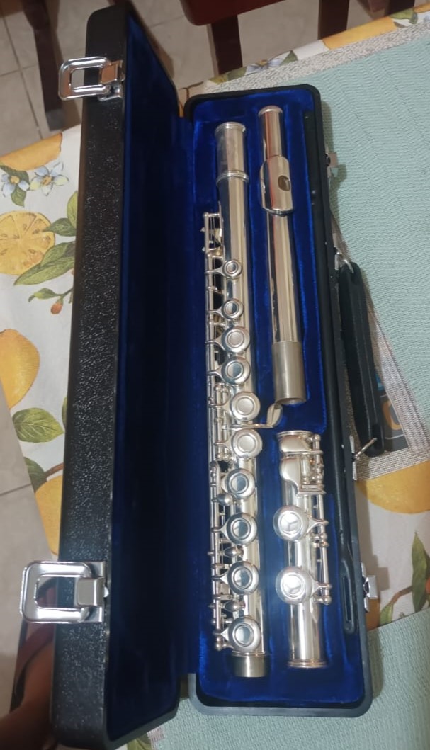 instrumentos musicales - Flauta travesera Hunter 0