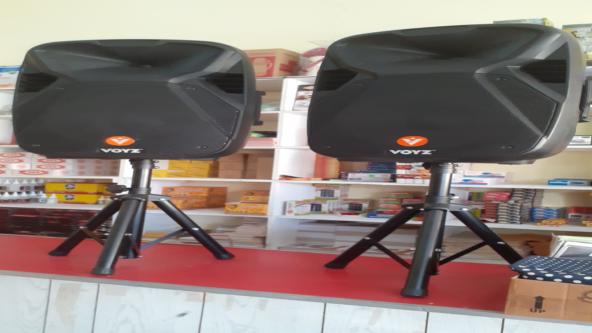 camaras y audio - BOCINA PASSIVE 15"  VOYZ