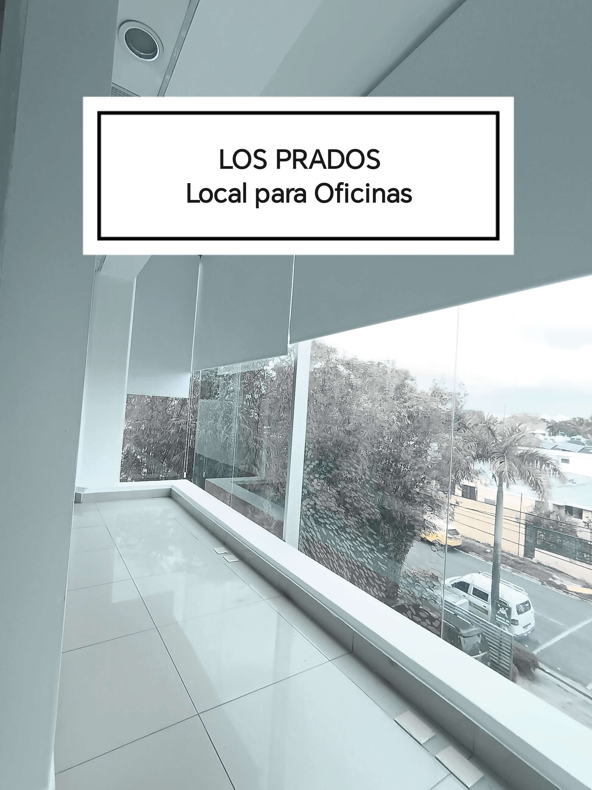 oficinas y locales comerciales - ALQUILO LOCAL PARA OFICINAS EN LOS PRADOS  4