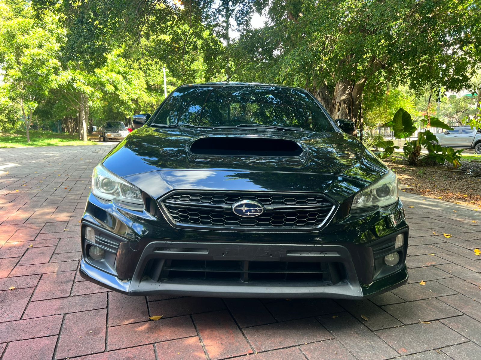 carros - subaru wrx 2019 0