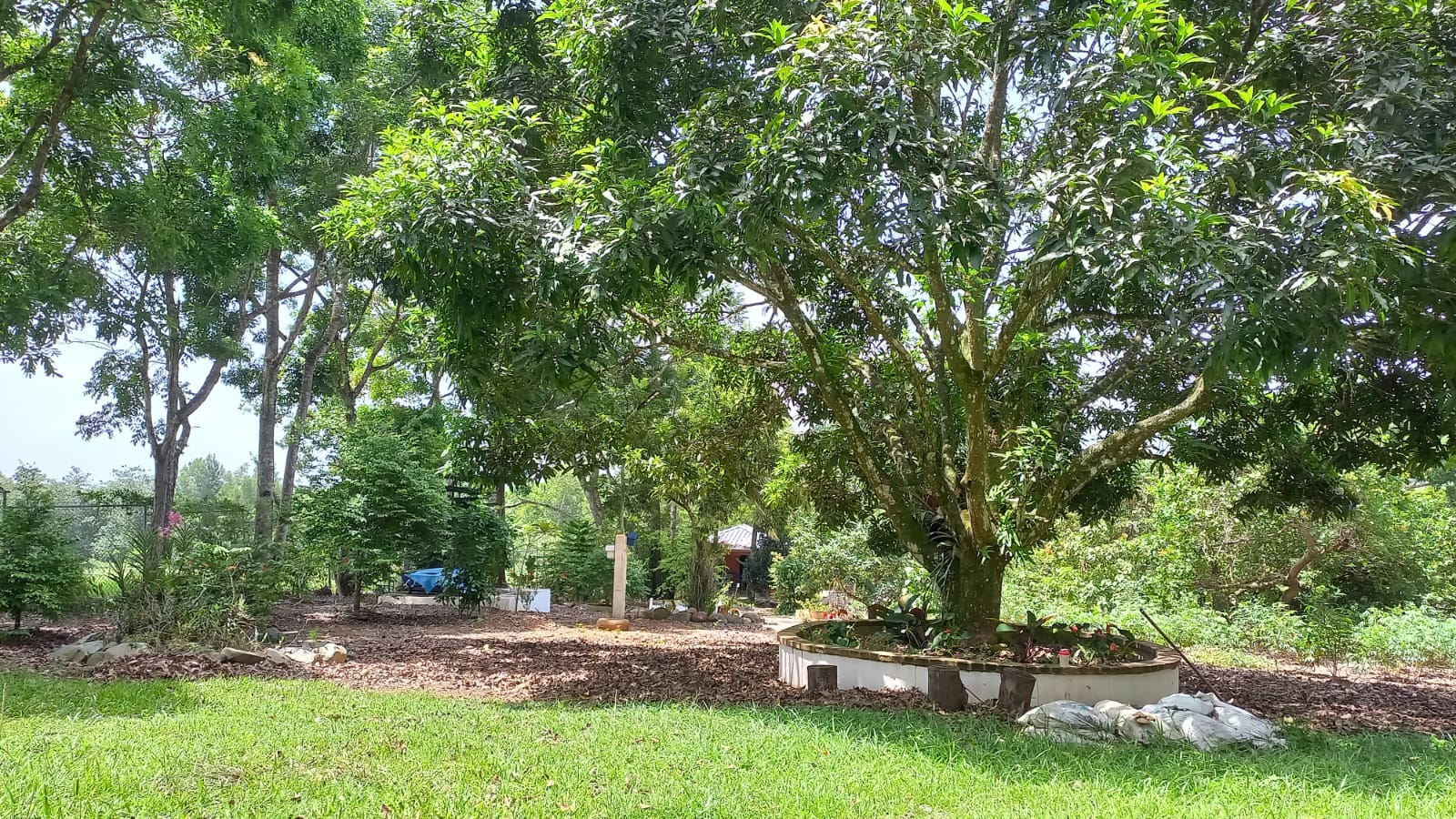 apartamentos - Solar en los Mogotes Villa Altagracia de 5mil metr 2
