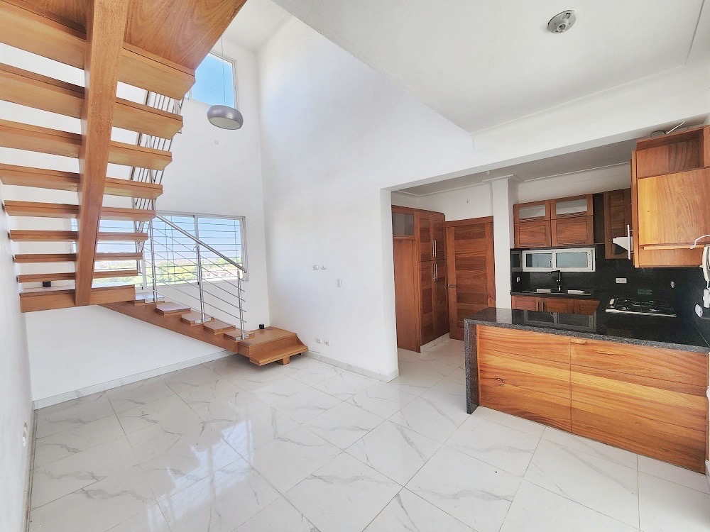 apartamentos - Apartamneto de renta tipo penthouses próximo al homs, Santiago  0