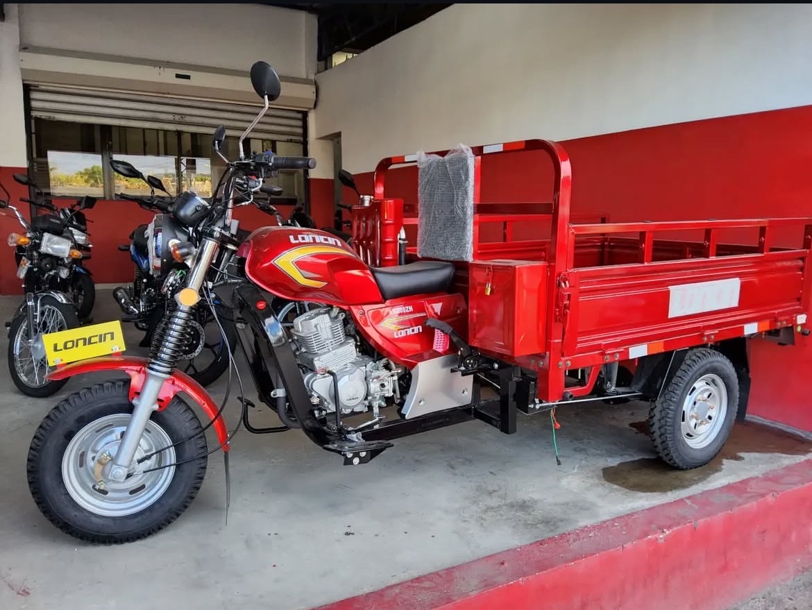 motores y pasolas - motor de carga vorteo loncin 1