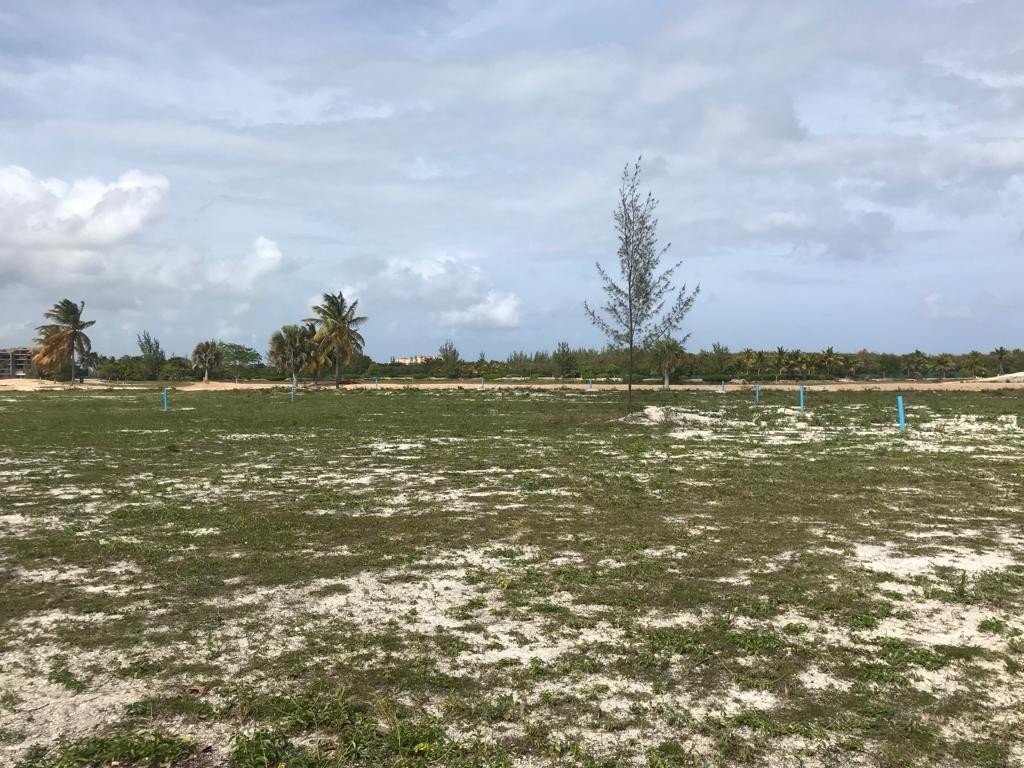 solares y terrenos - VENDO Solar Para Villa De 2,166.32MT2 En Cap Cana Frente Al Mar Código: PD114
 2