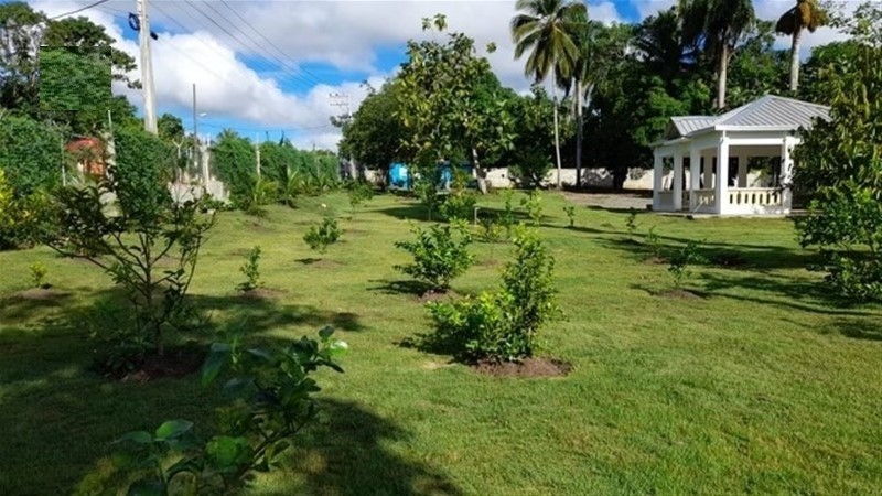 solares y terrenos - Finca Ganadera en Monte con 363 tareas Sabana Grande de Boya 3