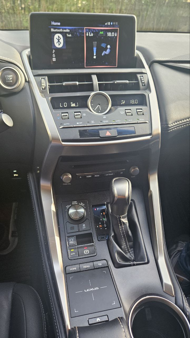 jeepetas y camionetas - Lexus NX300 2019 8