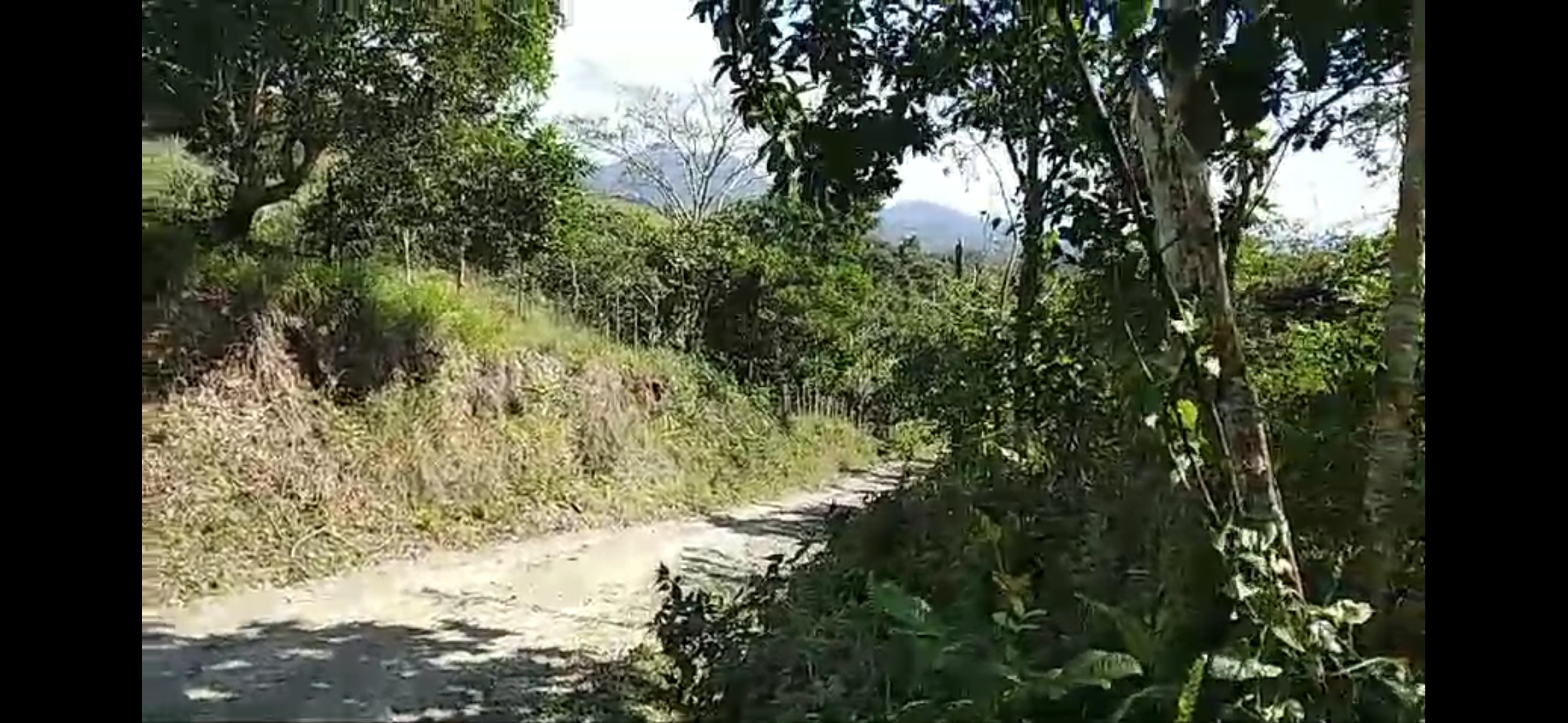 solares y terrenos - Terreno en La Cumbre, Bonao, ideal para villa/hote 3