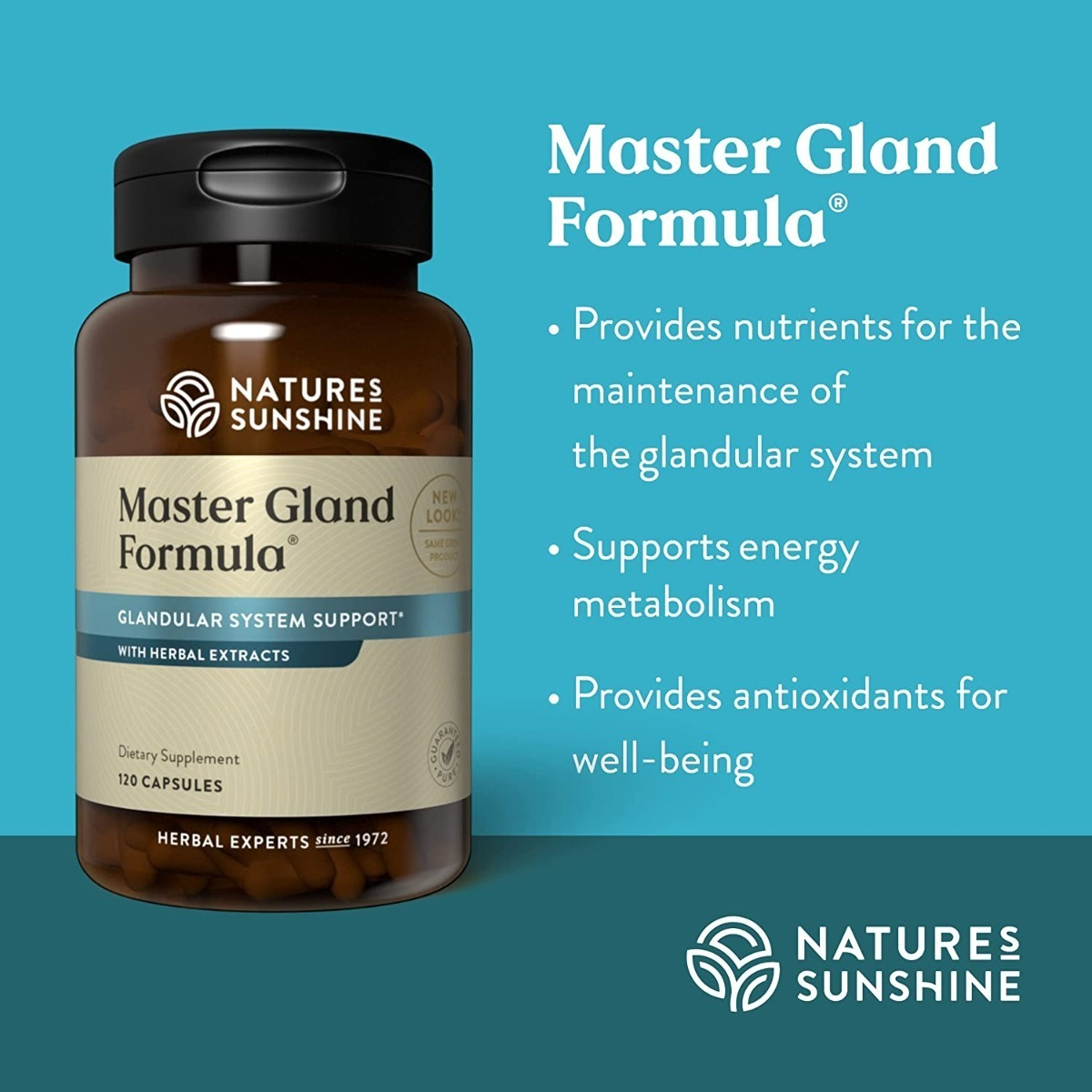 Salud y Equipamiento Médico - Master Gland Capsulas (120) Maestro Glandular 2