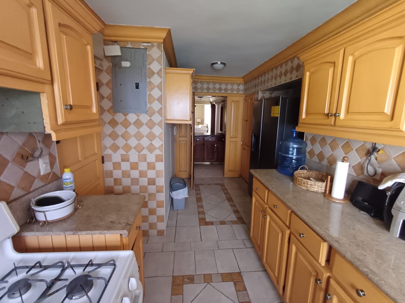 apartamentos - penthouse en venta - Evaristo Morales  4