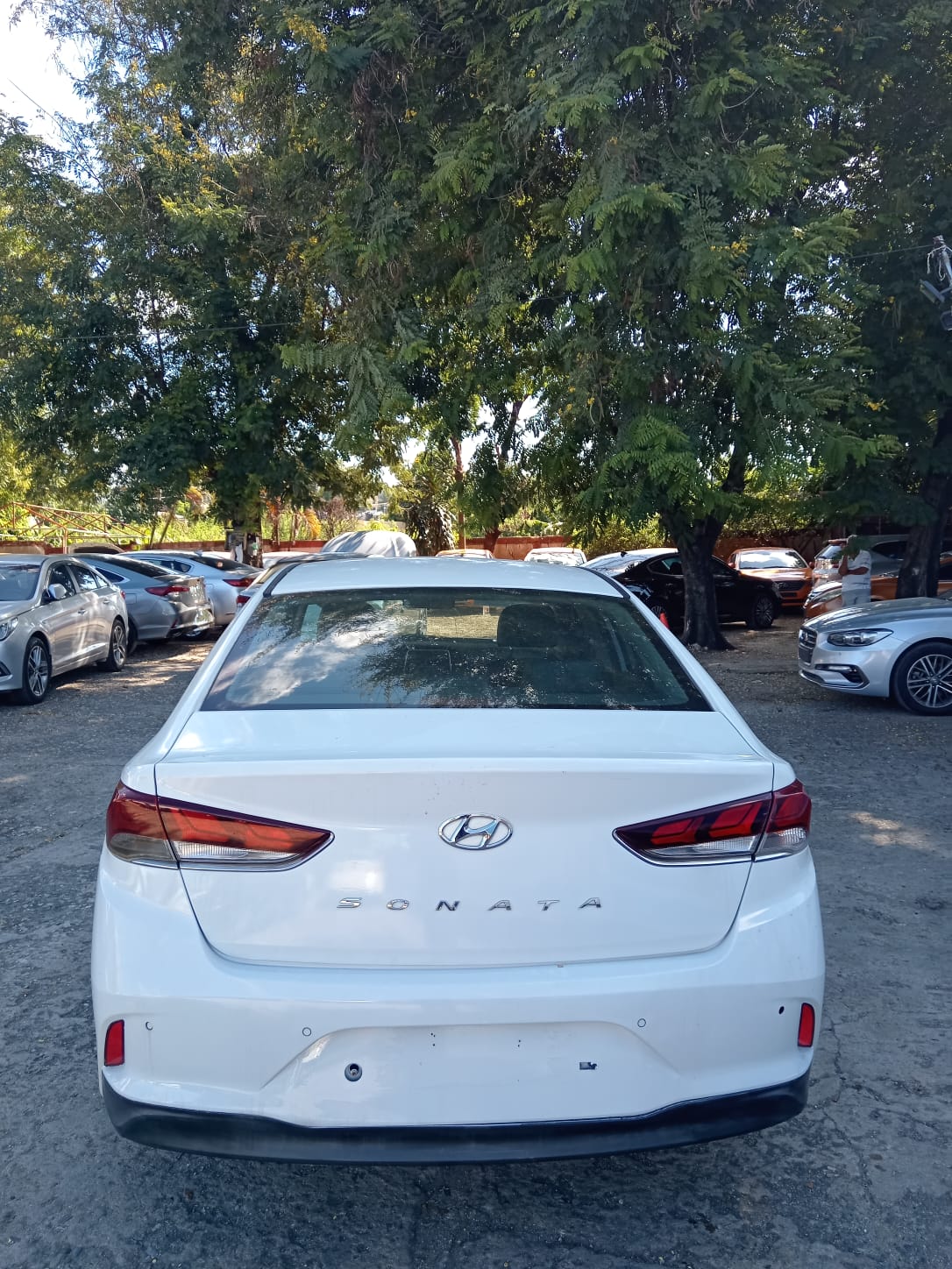 carros - HYUNDAI SONATA NEW RISE 2018 BLANCO 4