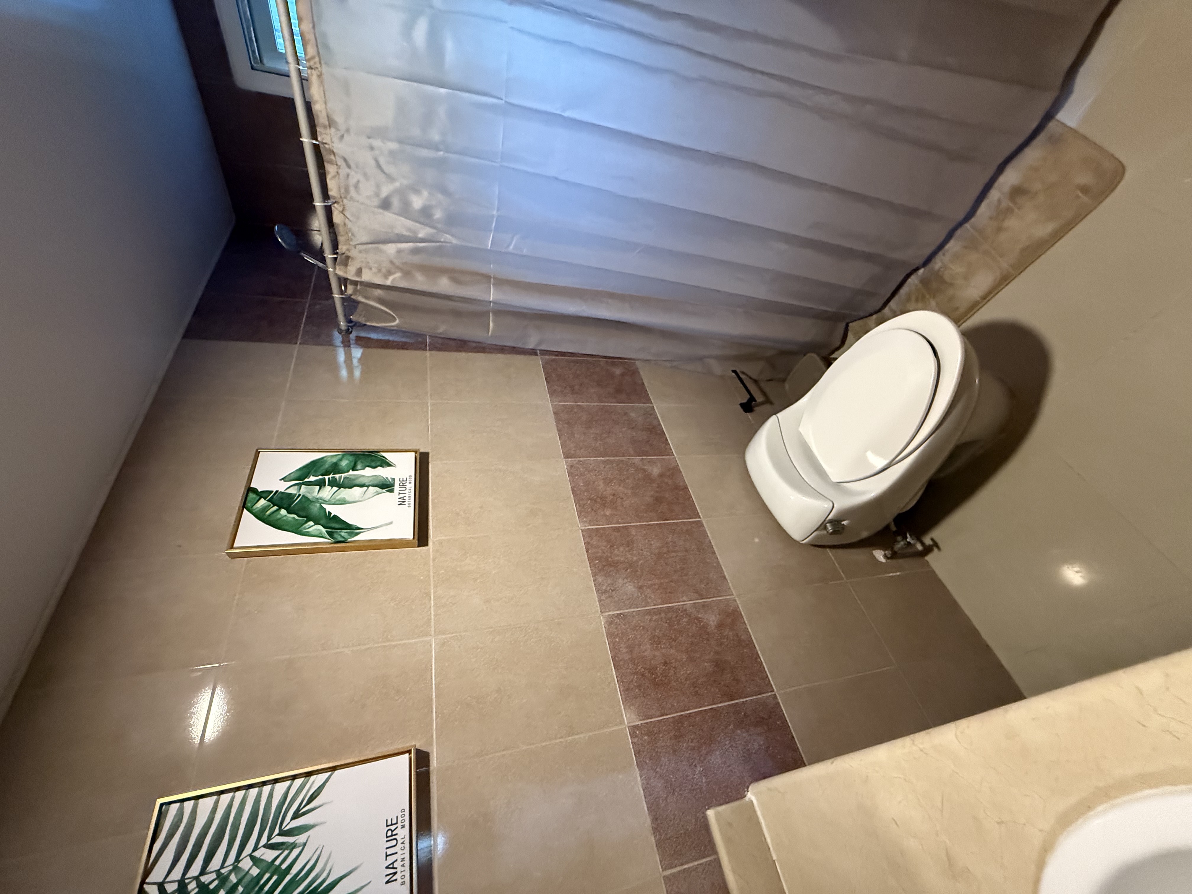 apartamentos - Apartamento en Los Corales | Alquiler 3