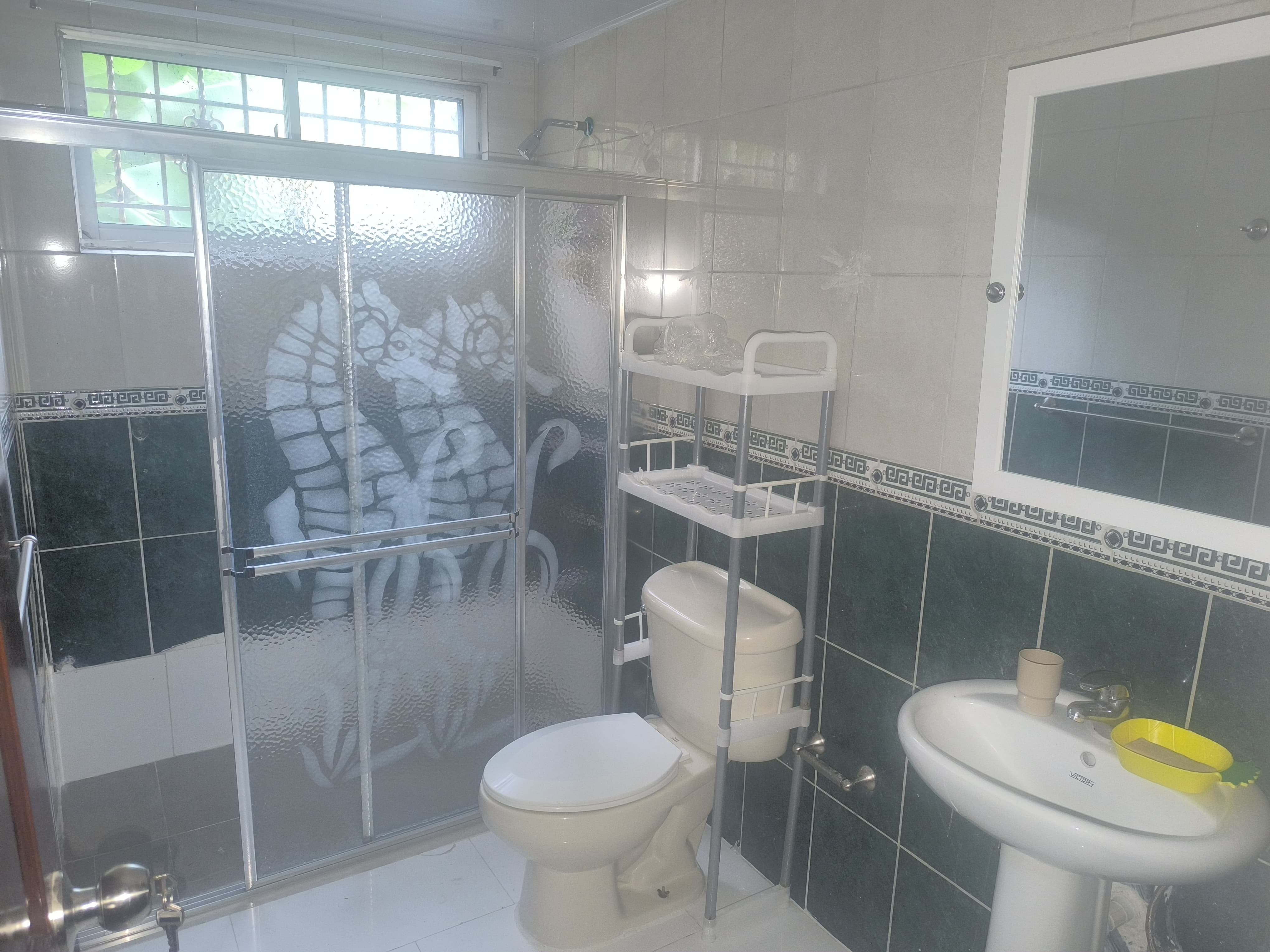 apartamentos - APARTAMENTO  4