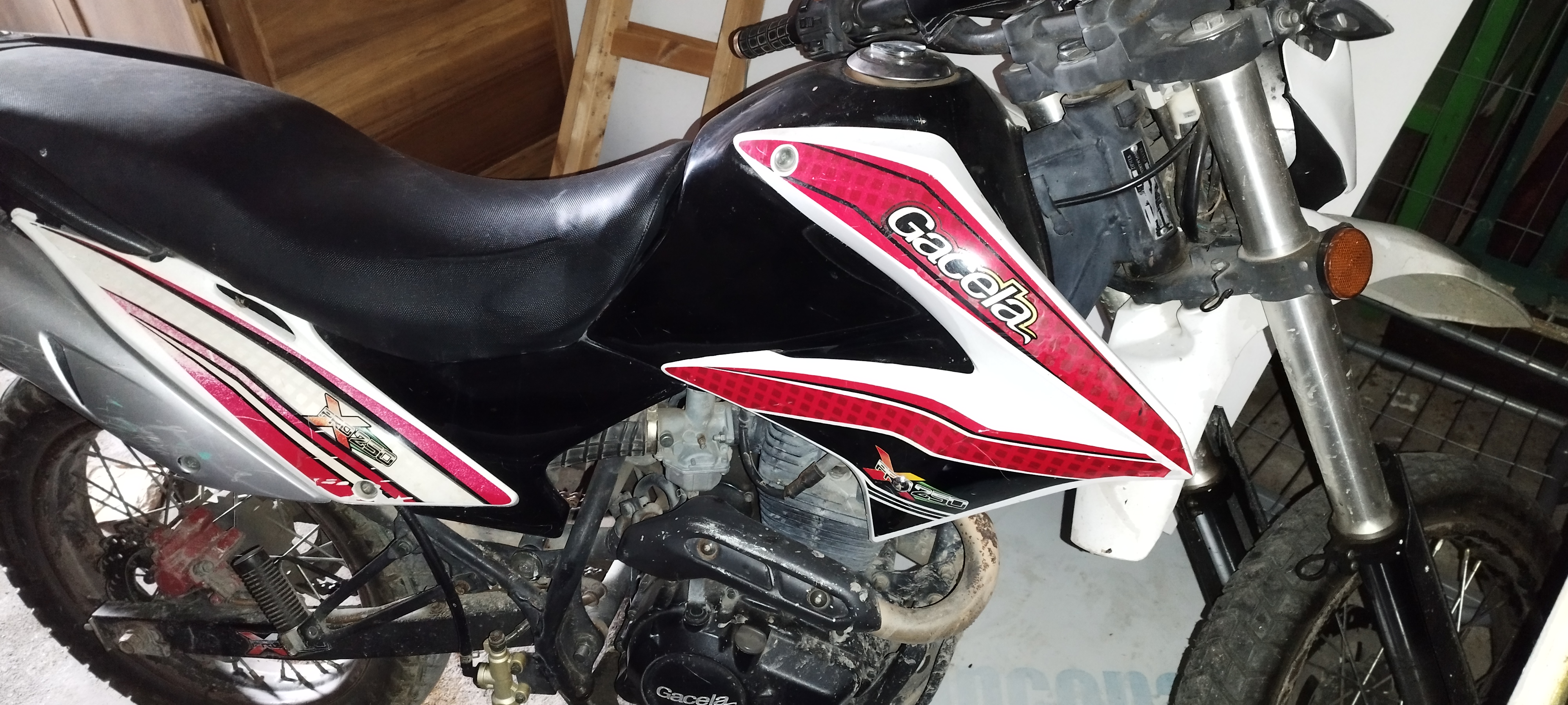 motores y pasolas - MOTOR GACELA  PRO 250 