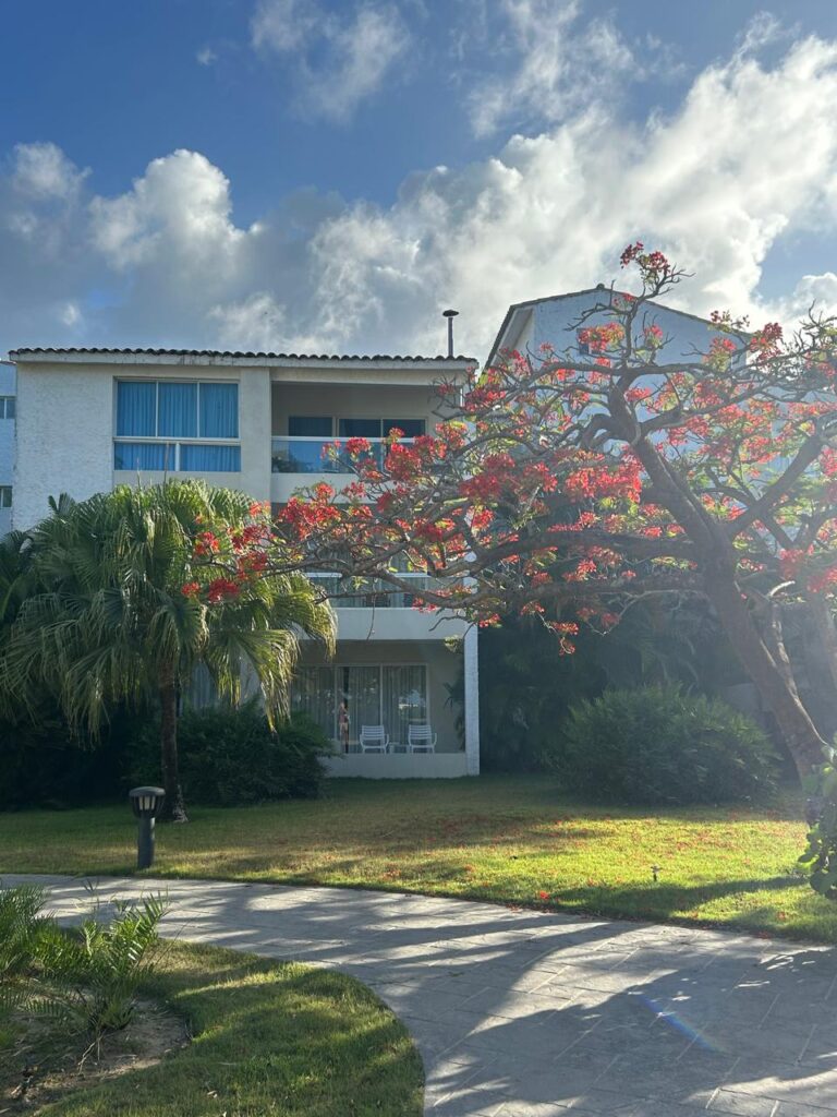 apartamentos - 1662- APTO.  EN PLAYA DORADA, PTO. PTA. 