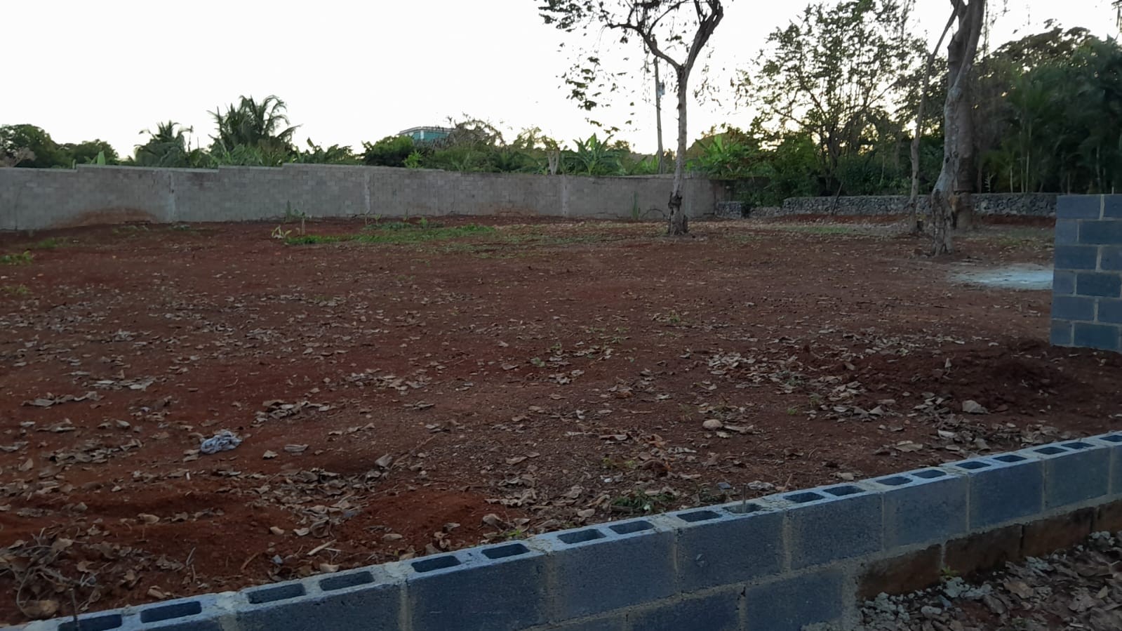 solares y terrenos -  Terreno cerca del Hotel "Villa Serena",  Las Galeras 2