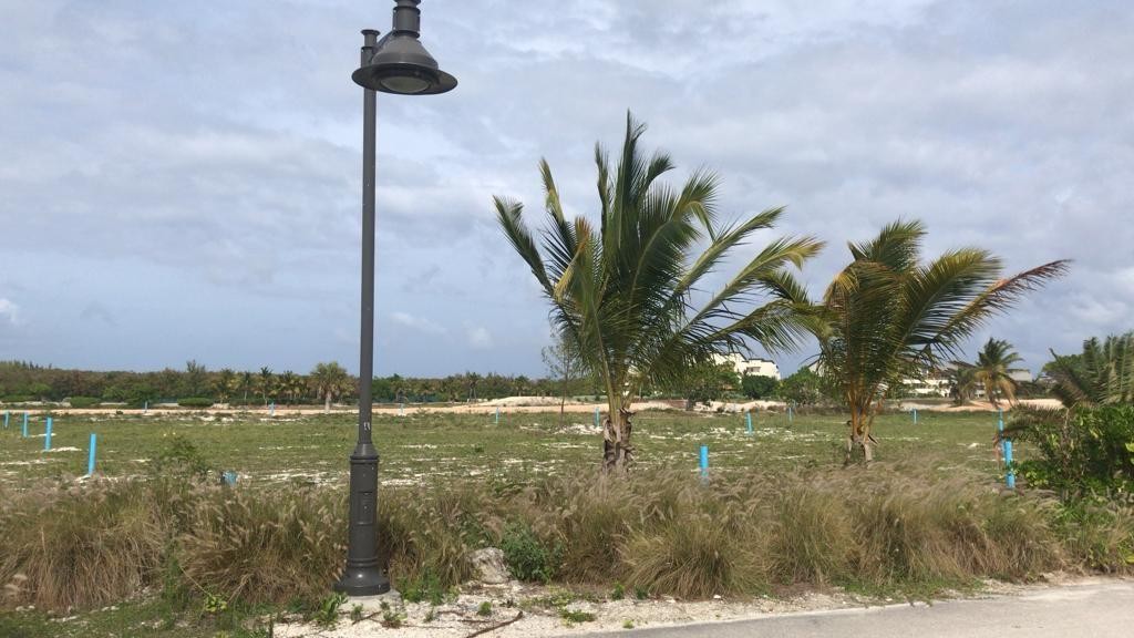 solares y terrenos - VENDO Solar Para Villa De 2,166.32MT2 En Cap Cana Frente Al Mar Código: PD114
 1