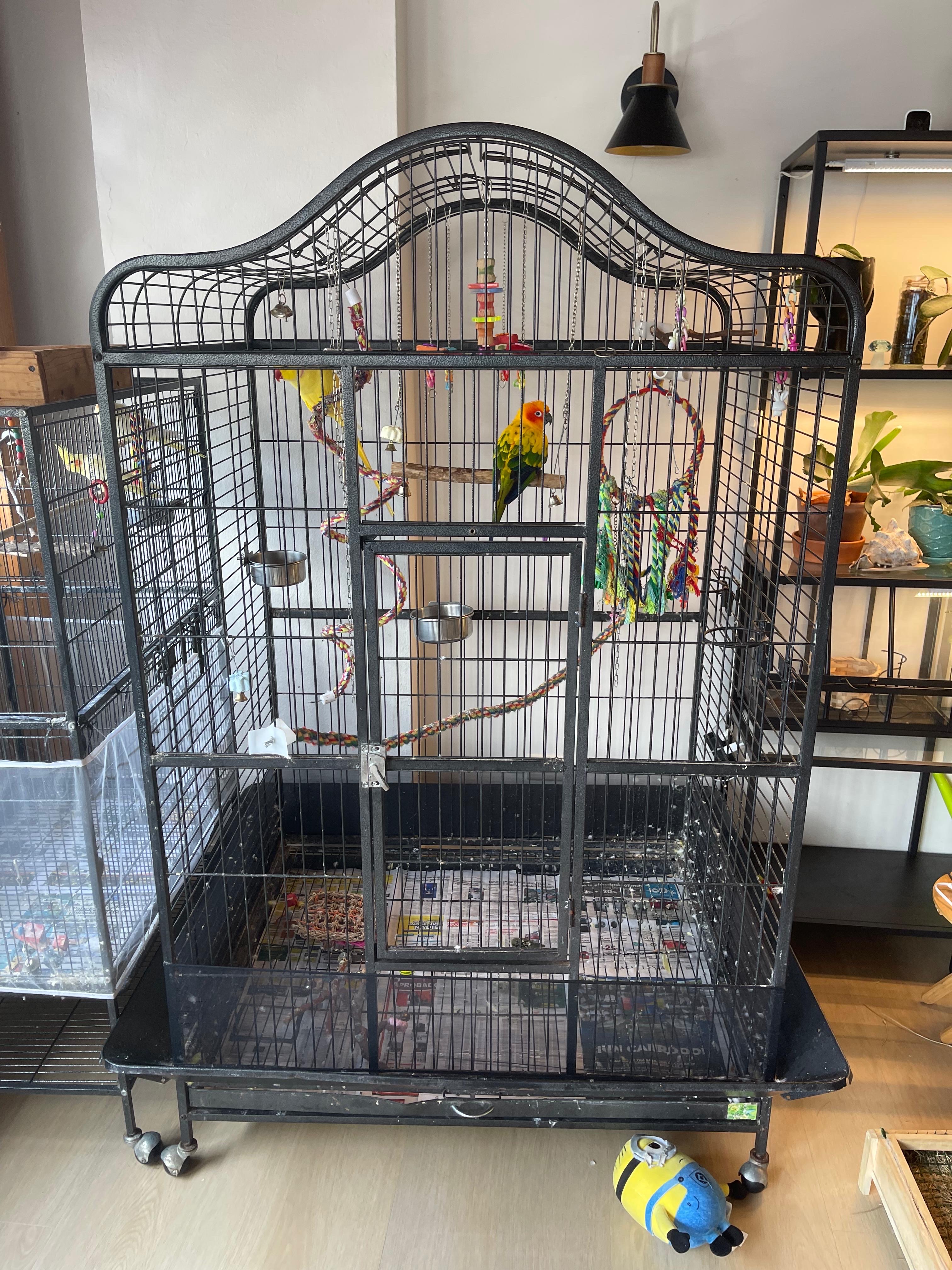 animales y mascotas - Jaula de gran tamaño para aves mediana y grande. 0