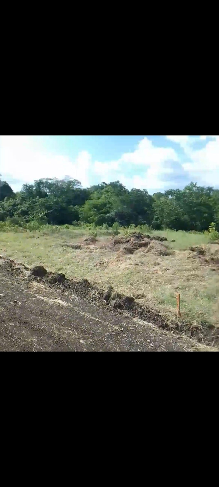 solares y terrenos - Solares en venta por la autovía a 30 minutos de la zona, con titulo de propiedad 2