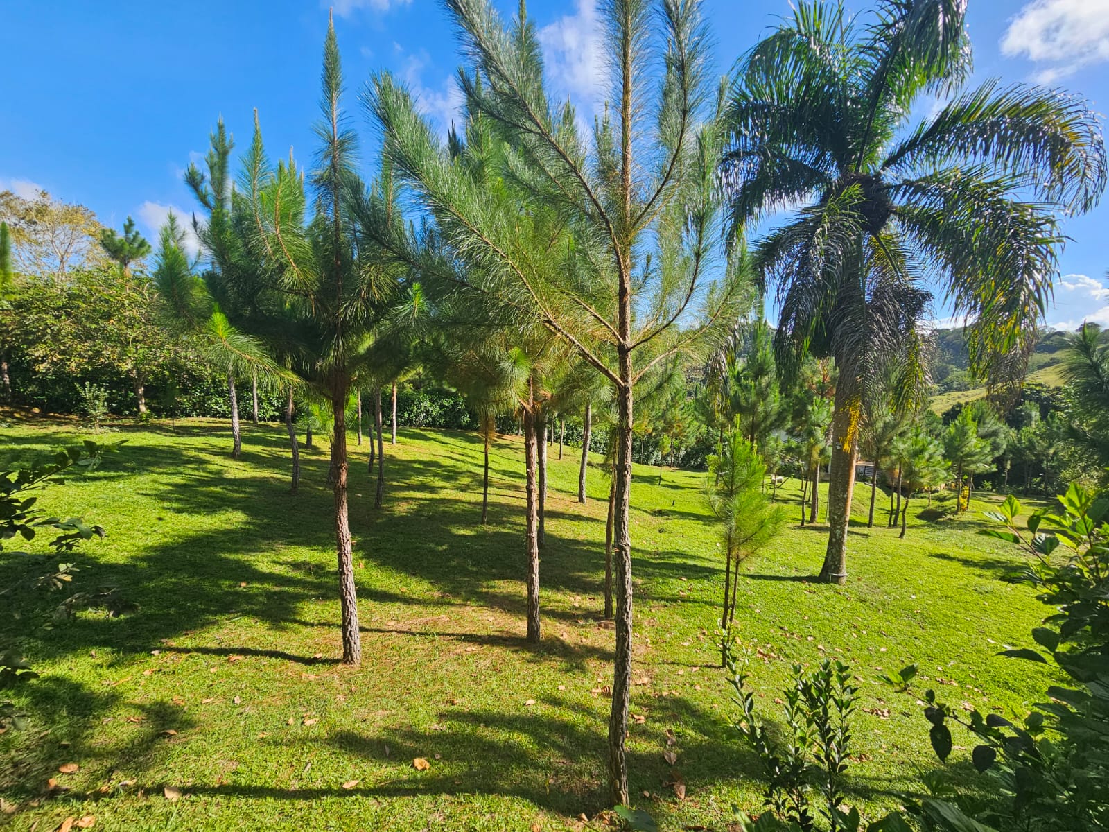 casas vacacionales y villas - Se Vende Villa en Altos del Caballo, Los Pinos, San Francisco de Macorís Macoris 1